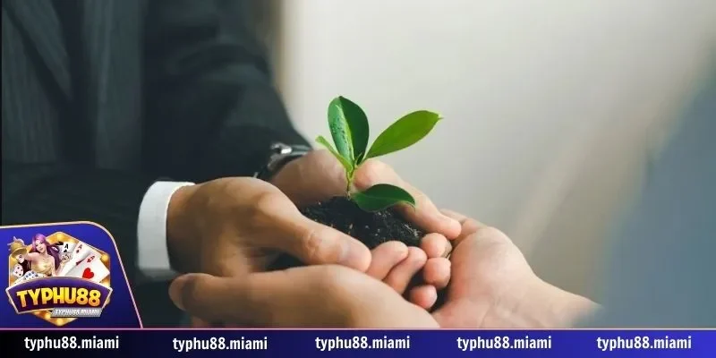 Hướng dẫn quy trình đăng ký tham gia đại lý