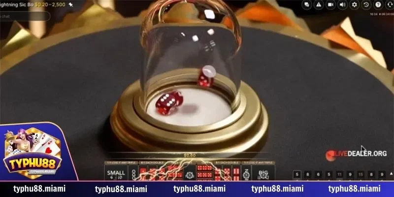 Nắm bắt quy luật từ lịch sử các ván cược