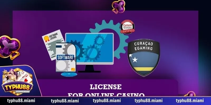 Tầm quan trọng của giấy phép hoạt động Typhu88