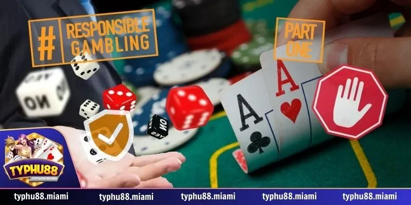 Tôn trọng các quy định của Typhu88