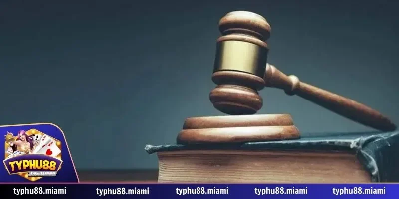 Vai trò của thành viên trong chính sách miễn trách nhiệm Typhu88