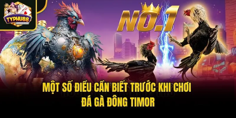 Một số điều cần biết trước khi chơi đá gà Đông Timor
